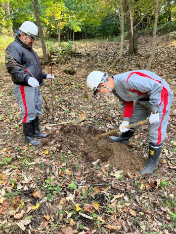 植樹する場所の土を掘る社員