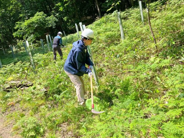 鎌を使って下草刈りをするメンバー