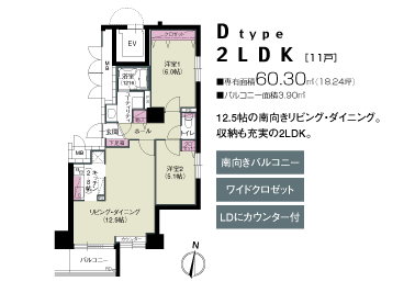 D type